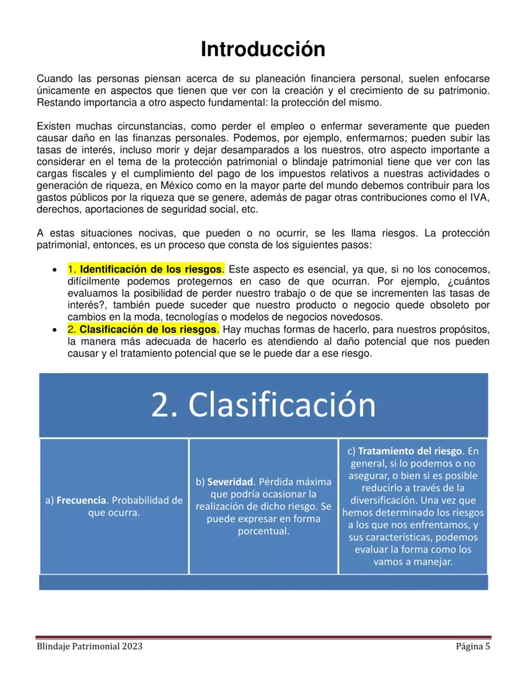 Libro Consulta Blindaje Patrimonial 2023-05