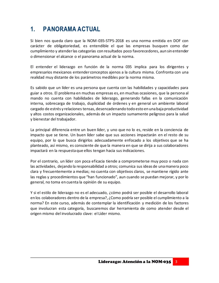 Libro LIDERAZGO ATENCIÓN A LA NOM-035-04