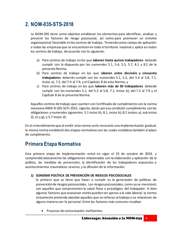 Libro LIDERAZGO ATENCIÓN A LA NOM-035-05