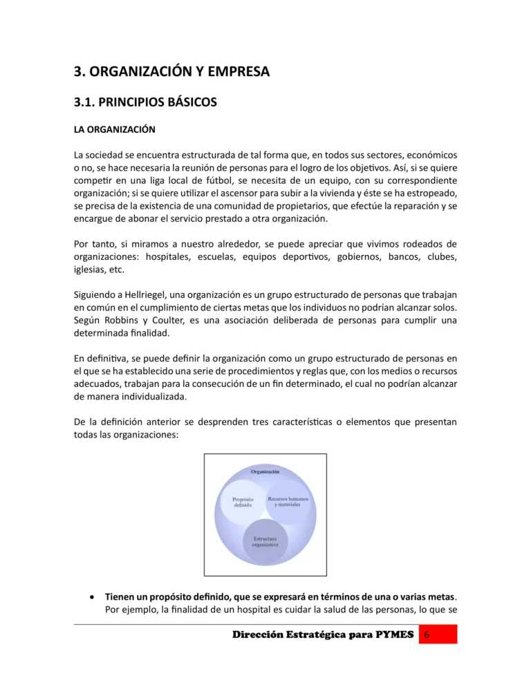 Manual DIRECCIÓN ESTRATÉGICA PARA PYMES-06