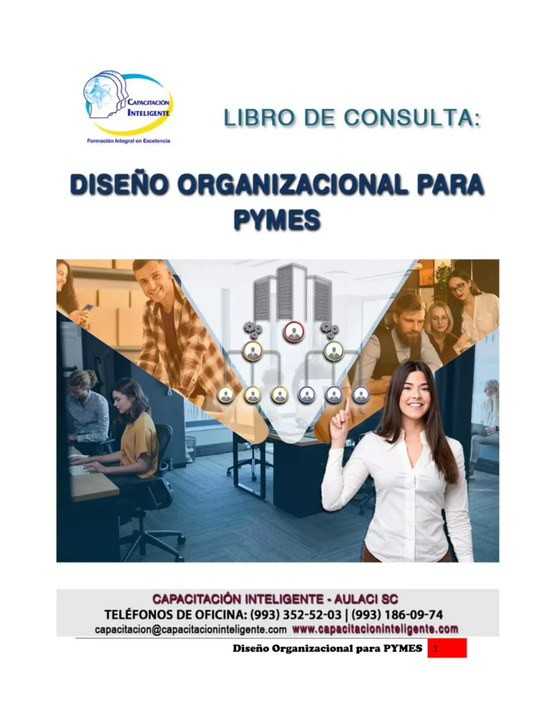 Manual DISEÑO ORGANIZACIONAL PARA PYMES-01