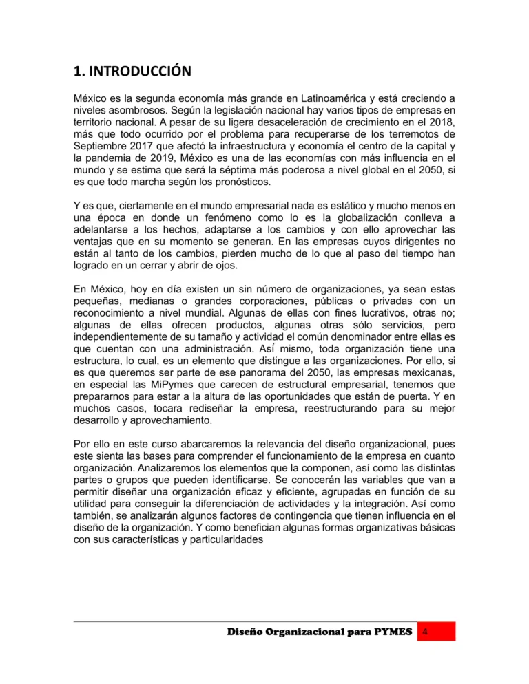 Manual DISEÑO ORGANIZACIONAL PARA PYMES-04