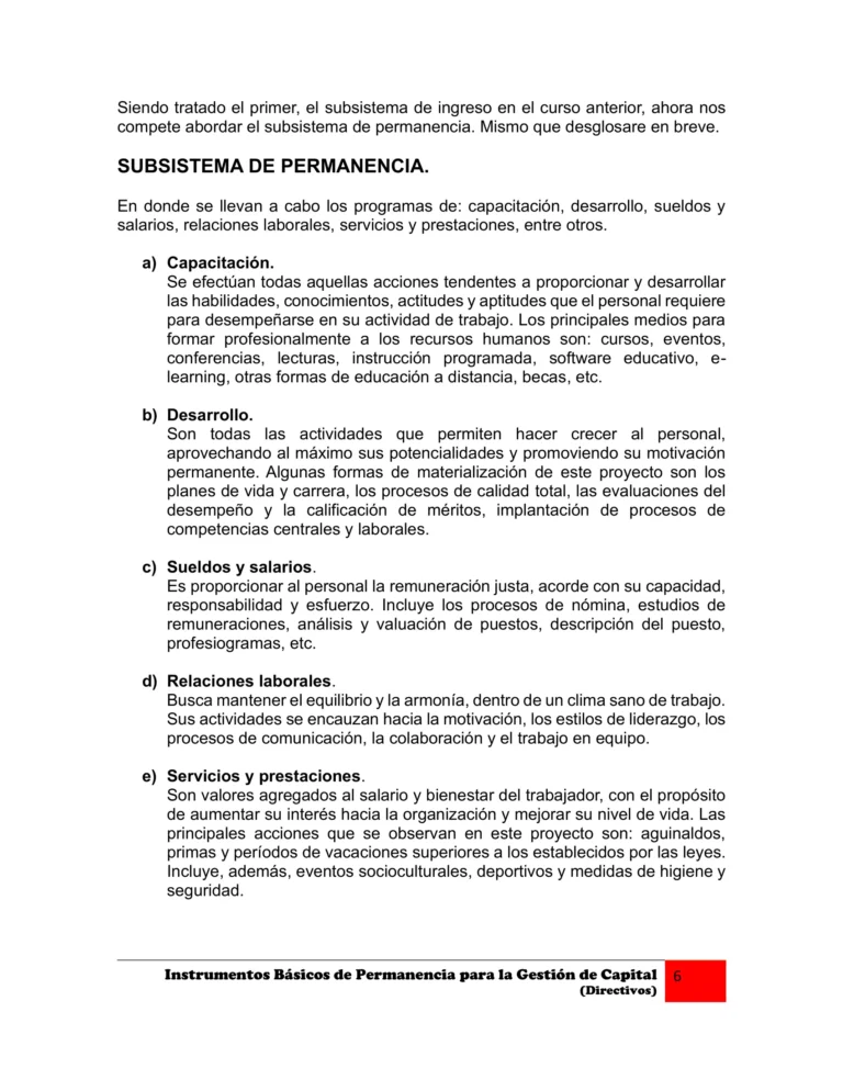 Manual Instrumentos de Permanencia Directivos-06