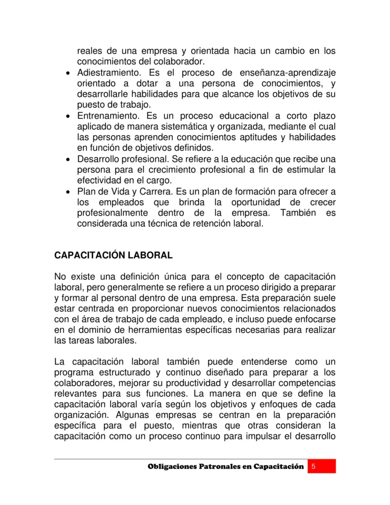 Manual OBLIGACIONES PATRONALES EN CAPACITACIÓN-05