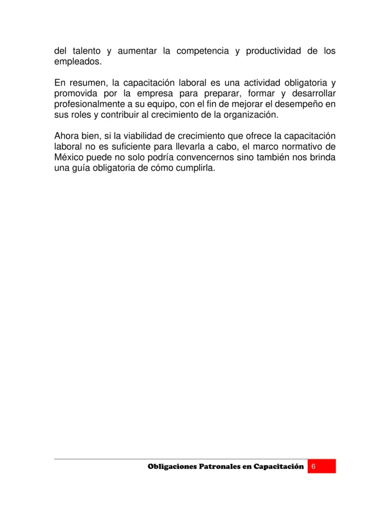 Manual OBLIGACIONES PATRONALES EN CAPACITACIÓN-06